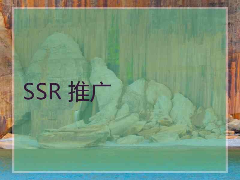 SSR 推广