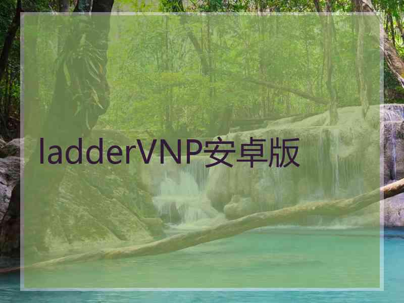ladderVNP安卓版