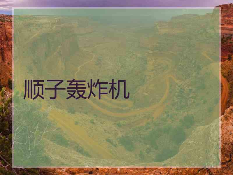 顺子轰炸机