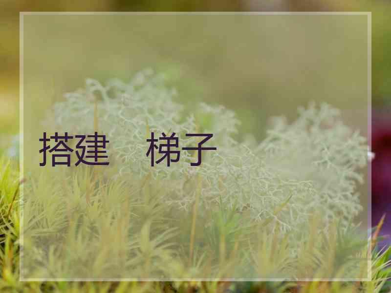 搭建　梯子