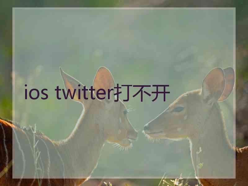 ios twitter打不开
