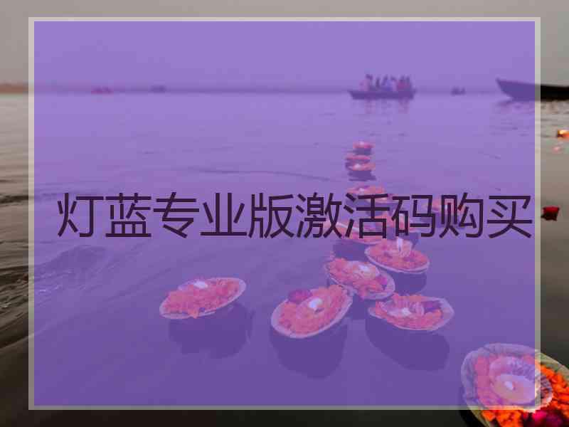 灯蓝专业版激活码购买