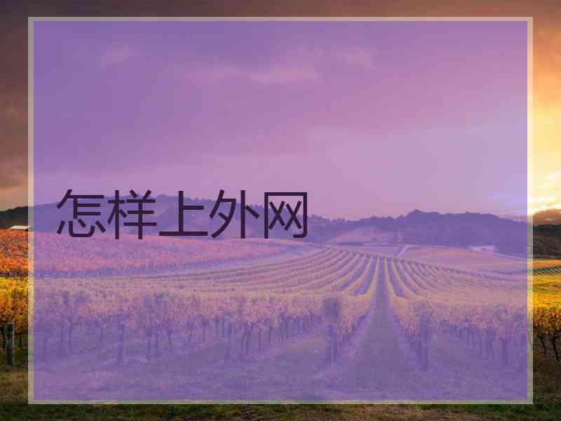 怎样上外网