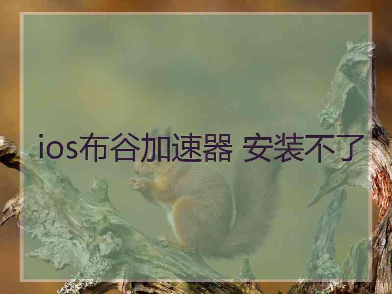 ios布谷加速器 安装不了