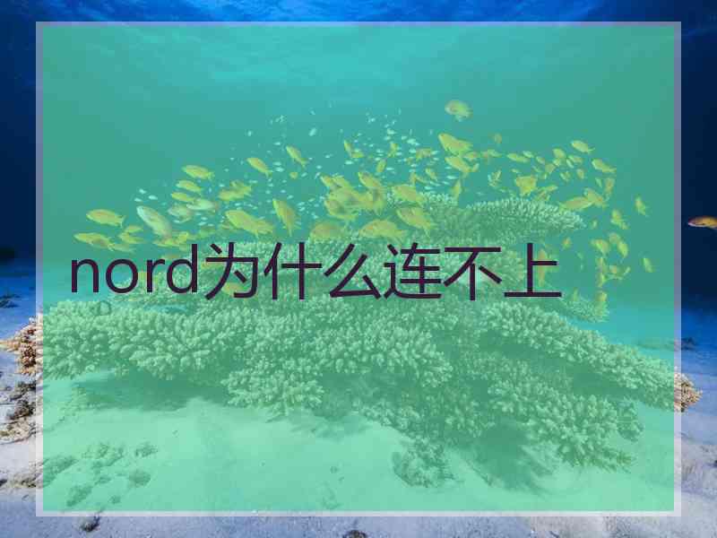 nord为什么连不上