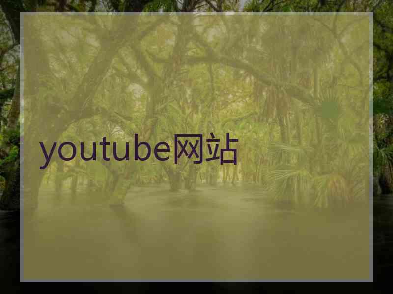 youtube网站