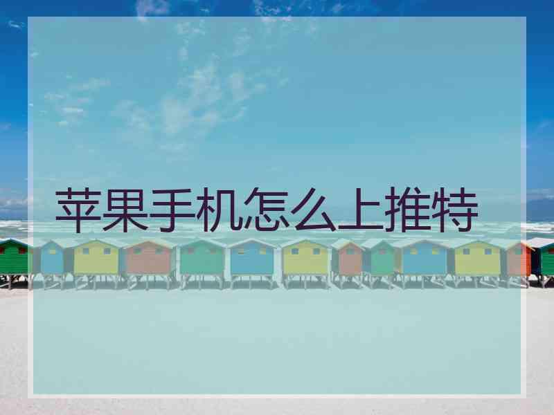 苹果手机怎么上推特
