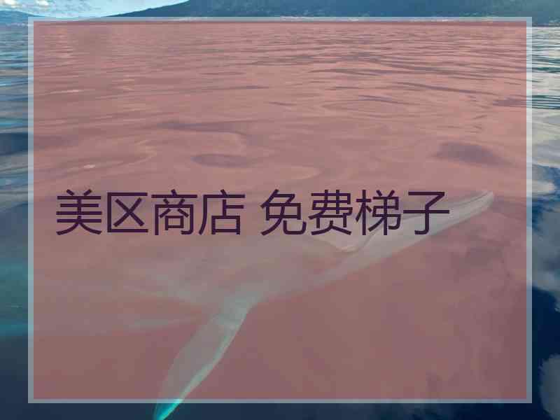 美区商店 免费梯子