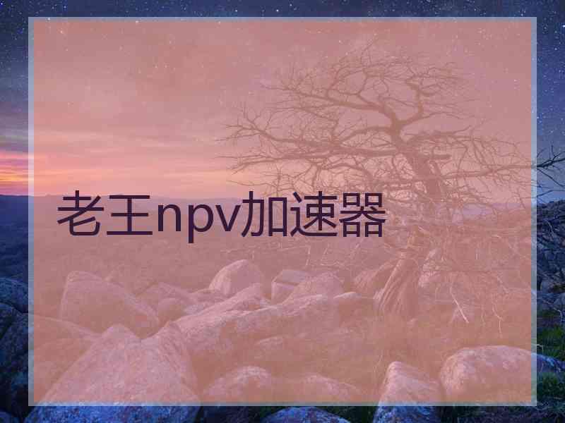 老王npv加速器