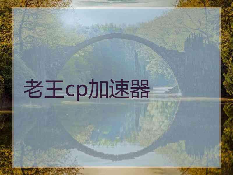老王cp加速器