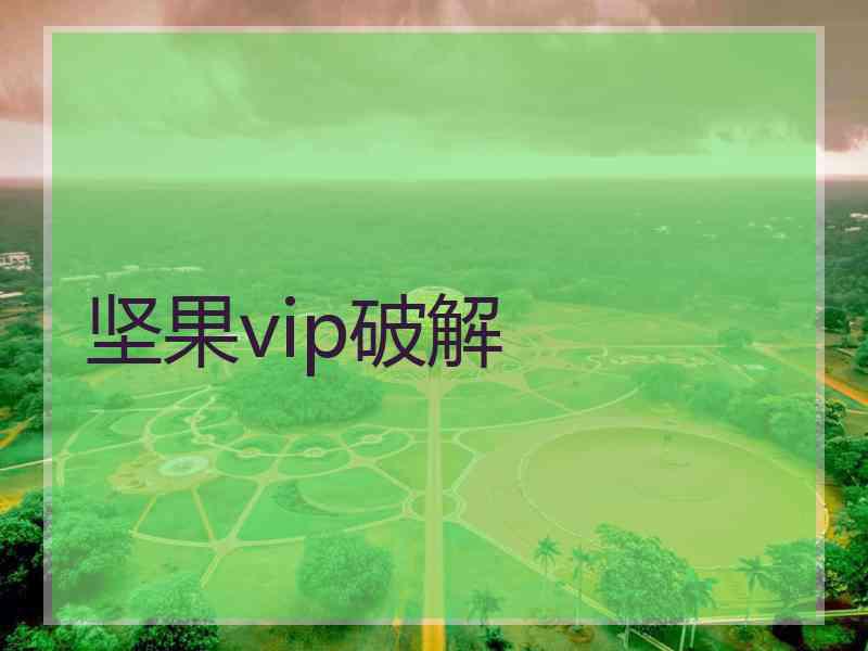 坚果vip破解