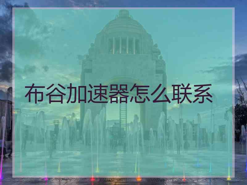 布谷加速器怎么联系