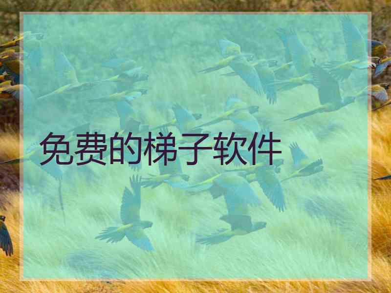 免费的梯子软件