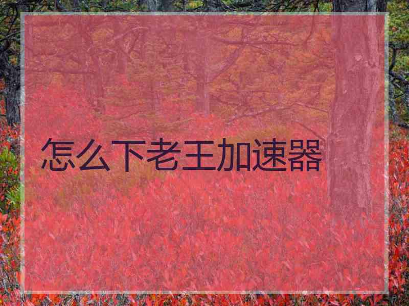 怎么下老王加速器