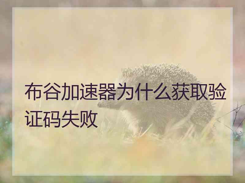 布谷加速器为什么获取验证码失败