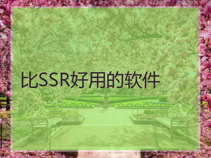比SSR好用的软件