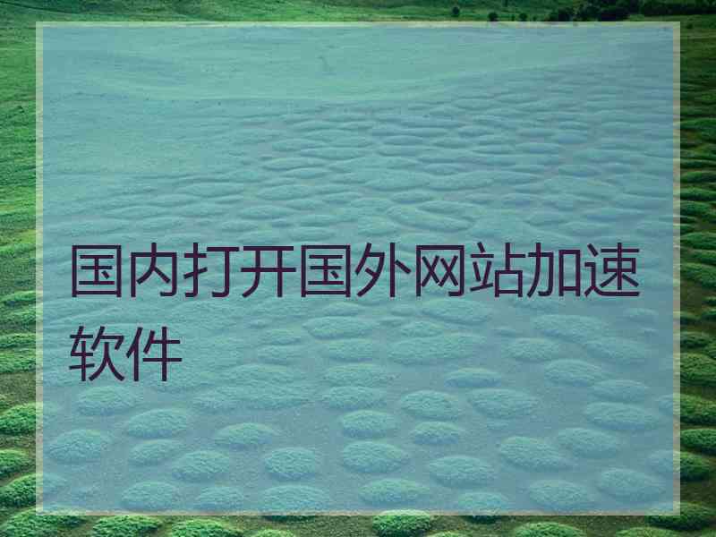 国内打开国外网站加速软件