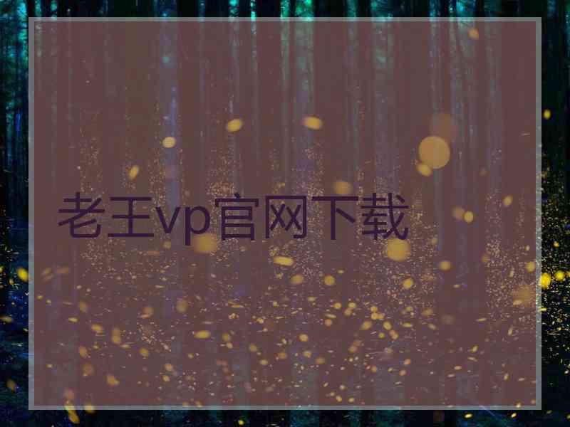 老王vp官网下载