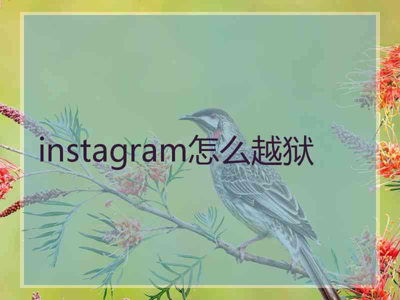 instagram怎么越狱