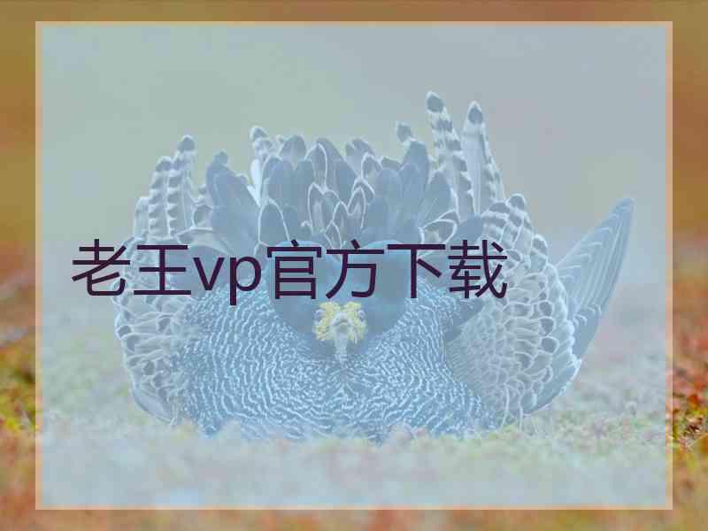 老王vp官方下载