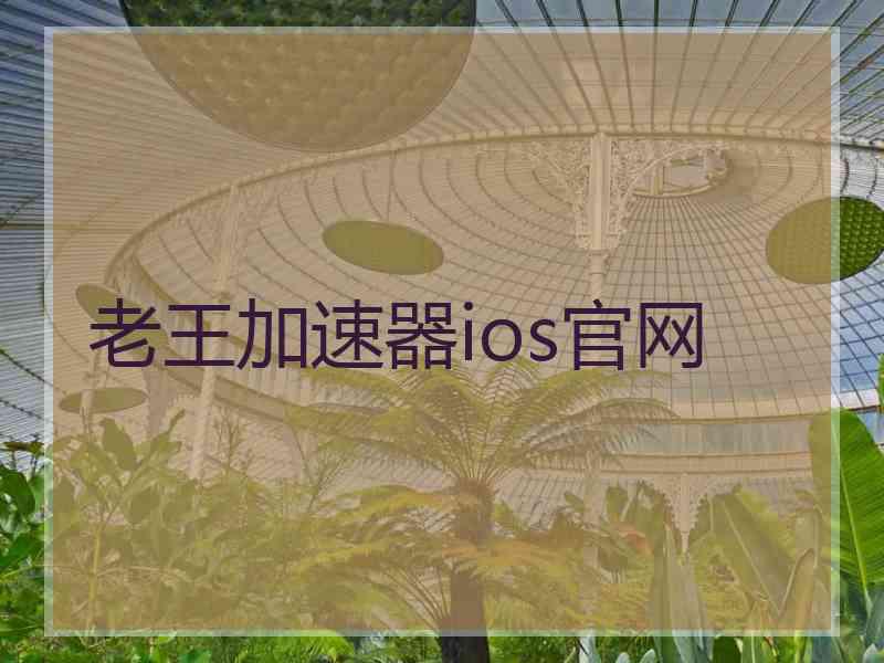 老王加速器ios官网