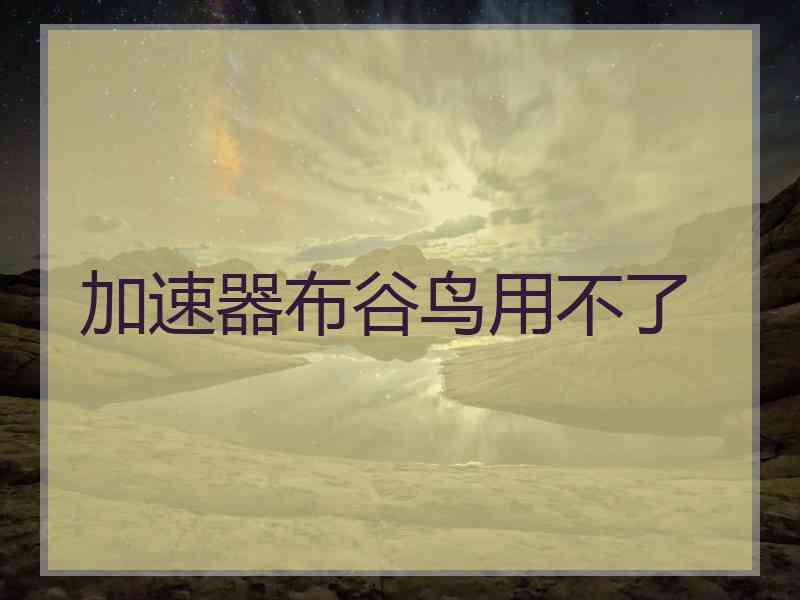 加速器布谷鸟用不了