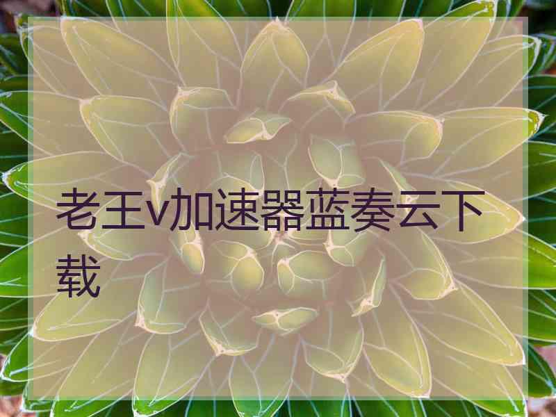 老王v加速器蓝奏云下载