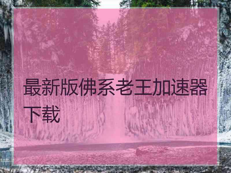 最新版佛系老王加速器下载