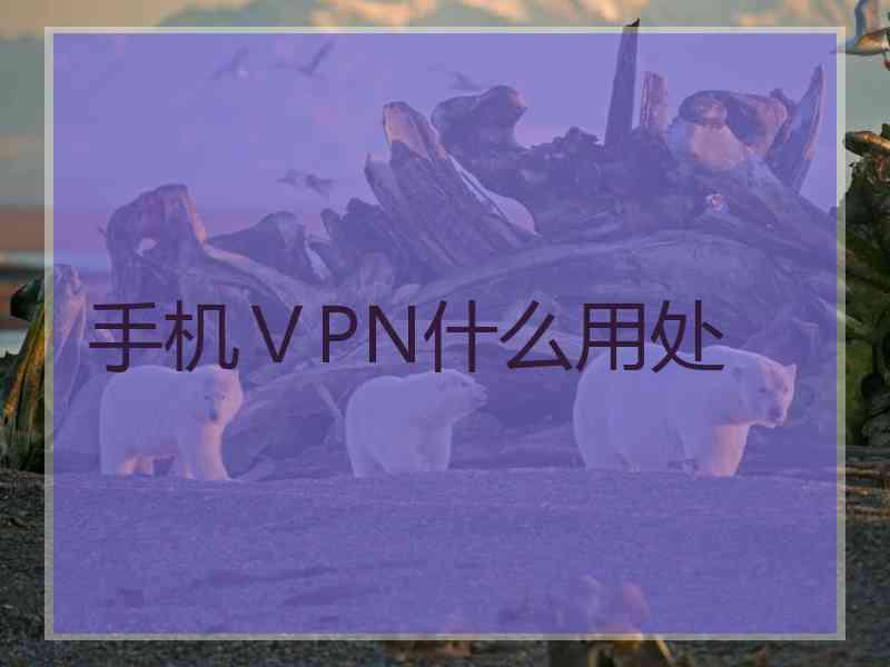 手机ⅤPN什么用处