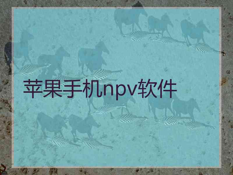 苹果手机npv软件