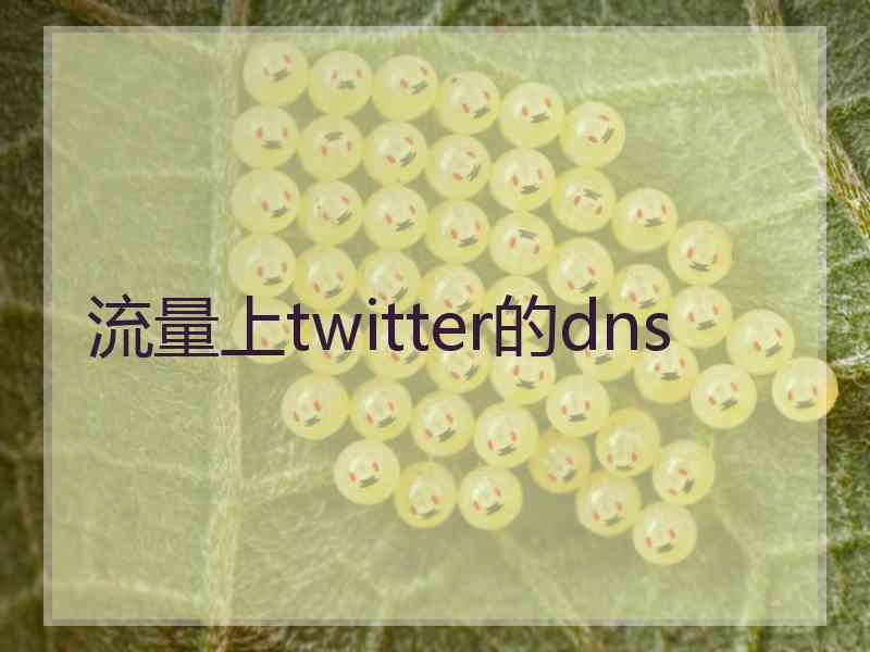 流量上twitter的dns