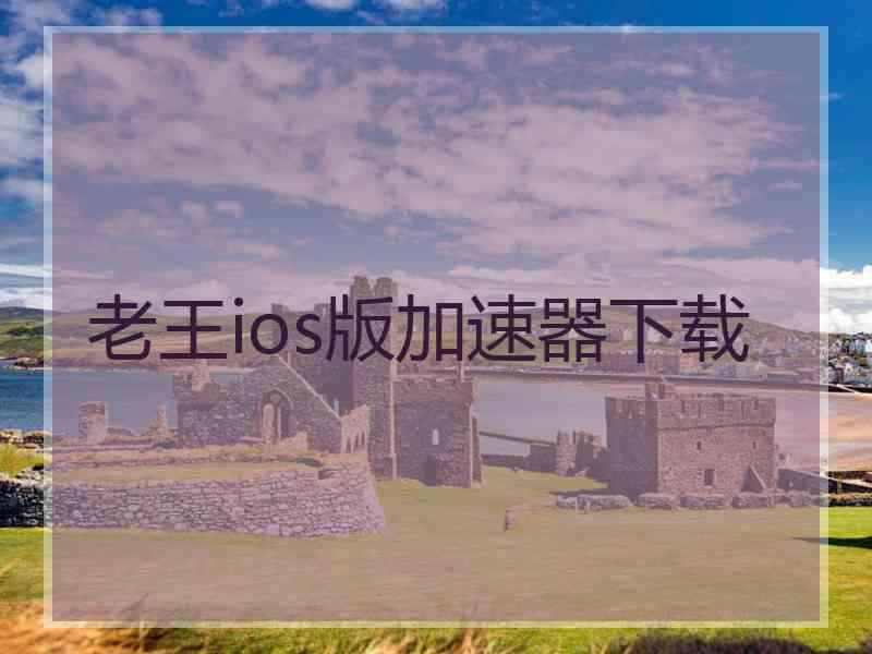 老王ios版加速器下载