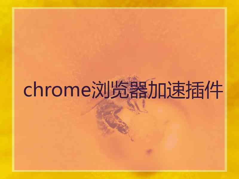 chrome浏览器加速插件