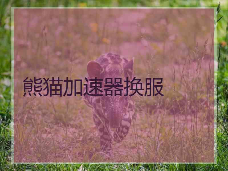熊猫加速器换服