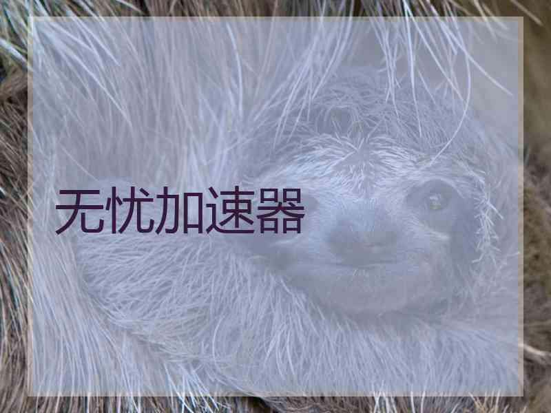无忧加速器