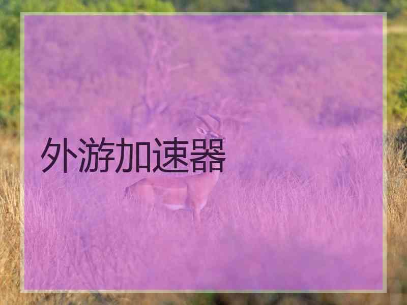 外游加速器