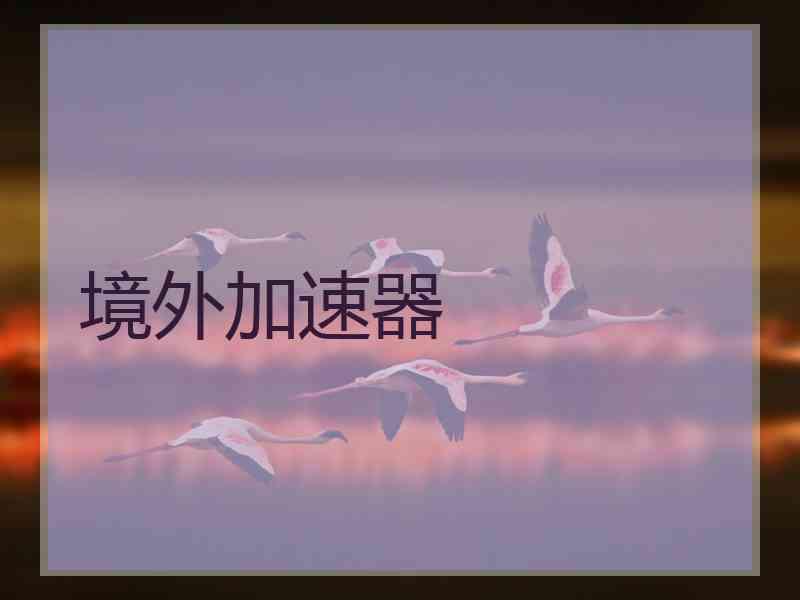 境外加速器
