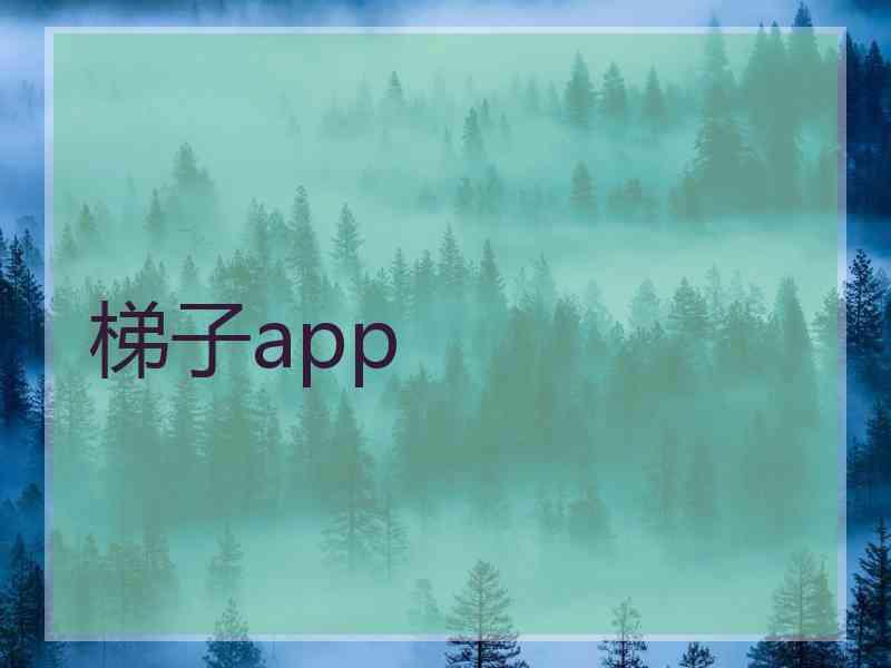 梯子app