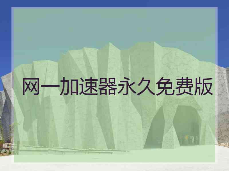 网一加速器永久免费版
