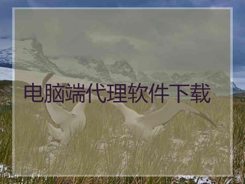 电脑端代理软件下载