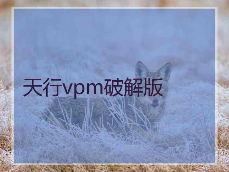 天行vpm破解版