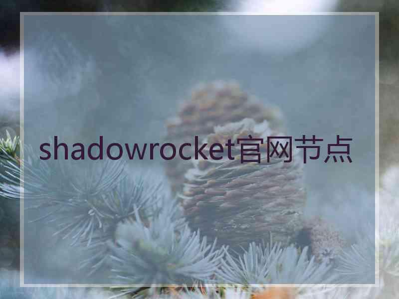 shadowrocket官网节点