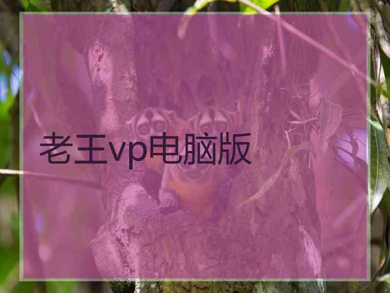 老王vp电脑版