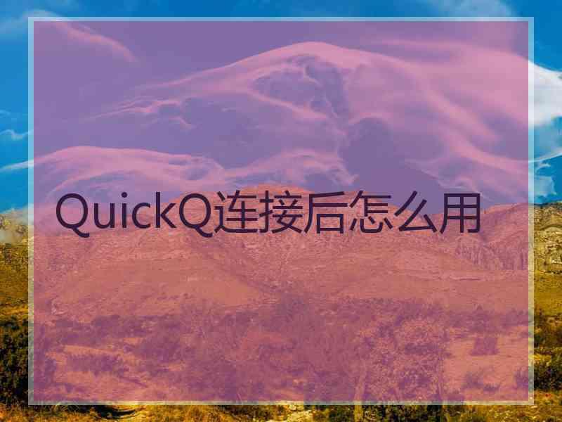 QuickQ连接后怎么用
