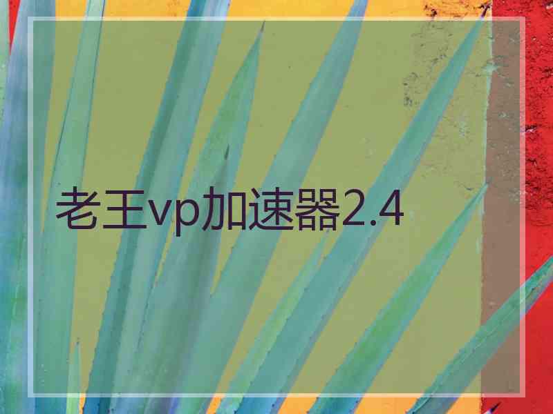 老王vp加速器2.4