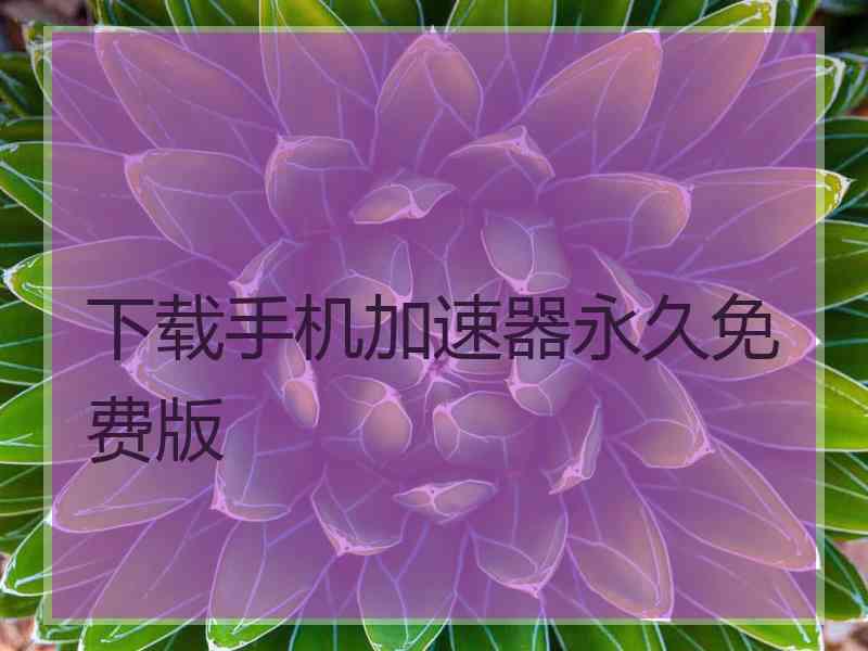 下载手机加速器永久免费版