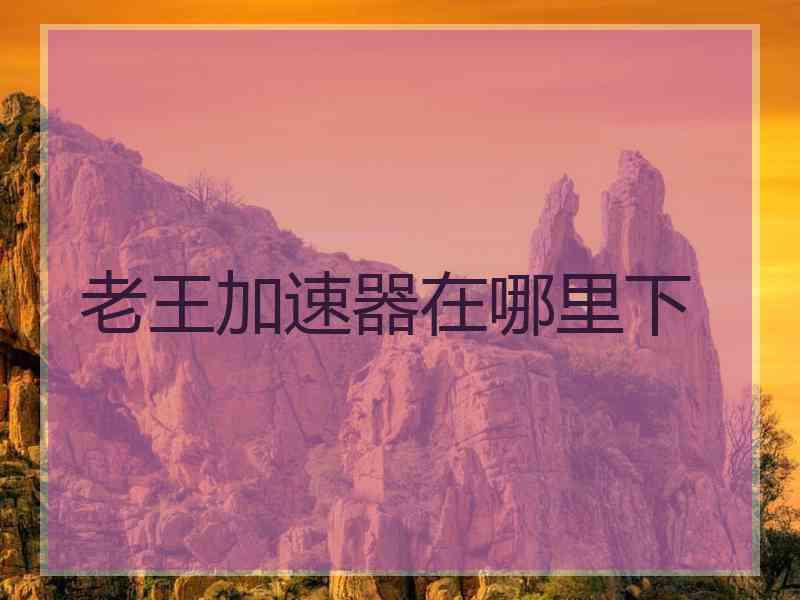 老王加速器在哪里下