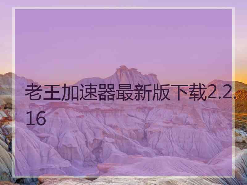 老王加速器最新版下载2.2.16