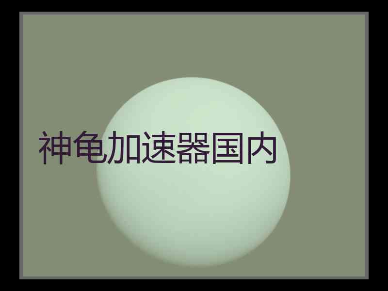 神龟加速器国内