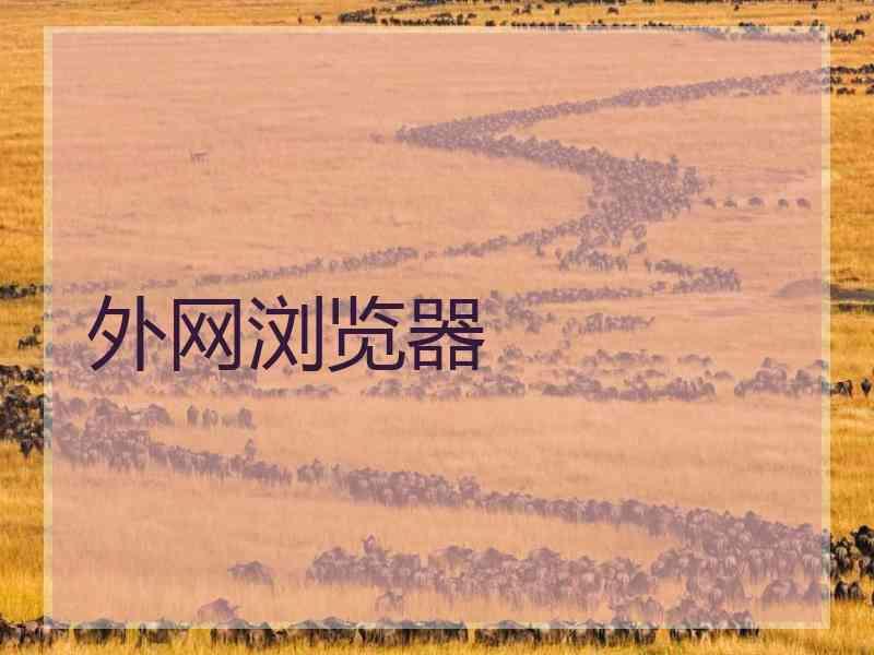 外网浏览器